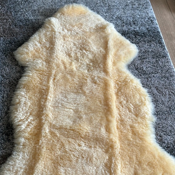 Lamb skin used for pictures. - Picture 4 of 6